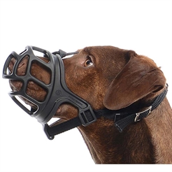 Buster Extreme Munkorg Till Hunden Str. 3